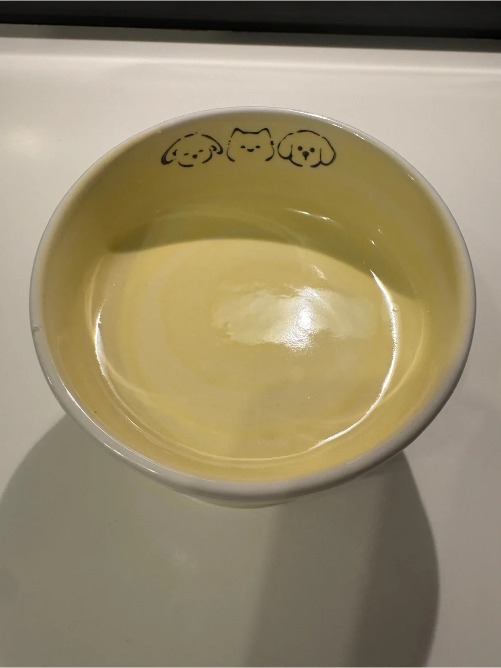 Tilted 15° Elevated Pet Food Bowl